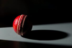 Exploring Ways to Enhance your Cricket Enjoyment Beyond the Match