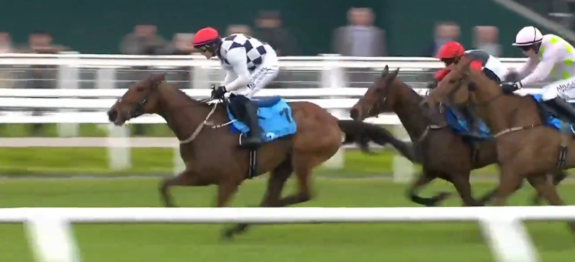 Video replay – Ballyburn leads home 1-2-3-4-5 for Willie Mullins